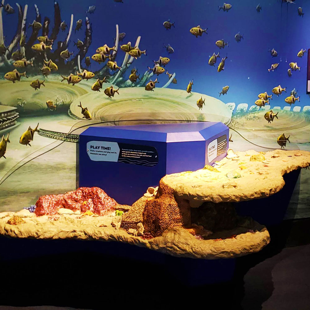 Play table with multiple levels that look like an ocean's floor, with brightly colored coral. A mural of swimming fish is behind the play table.